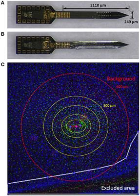 Foreign Body Response to Intracortical Microelectrodes Is Not Altered with Dip-Coating of Polyethylene Glycol (PEG)